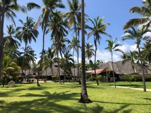 Kiwengwa, North Coast, Zanzibar, Tanzania.