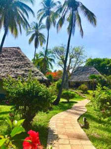 Kiwengwa, North Coast, Zanzibar, Tanzania.