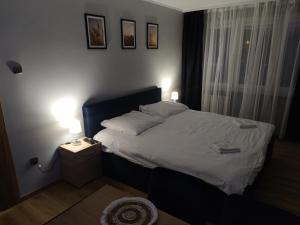 Apartament Hetmański