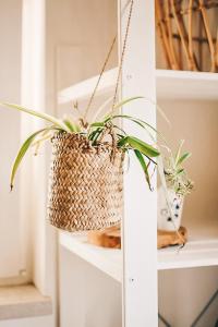 Casa-Simplicity Gelder Zetten LDA