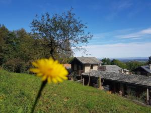 Il Sogno Della Vita AgriResort - Country Rooms & Suites