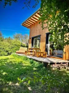 Kingfisher de los Andes - Villa Meliquina