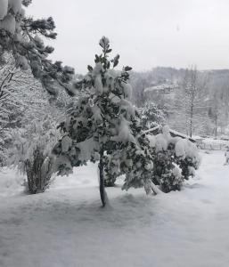 Dağ Evi ,2 oda, Lake view, fireplace jakuzi,6 person Sapanca