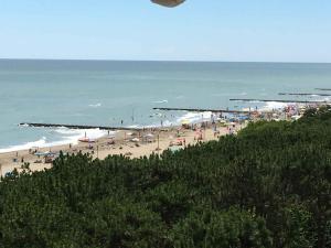 Apartment in Porto Santa Margherita 43488