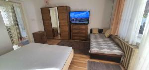 Holiday Homes in Siofok - Balaton 43405