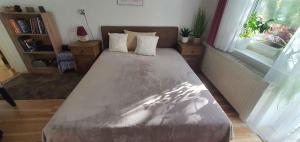 Holiday Homes in Siofok - Balaton 43405