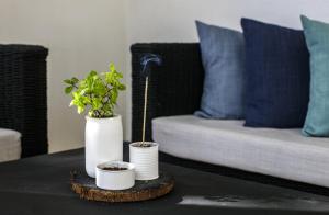 Ocean Vida Beach and Dive Resort