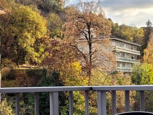 T1 Bis confortable, animaux acceptés, balcon, parking inclus - FR-1-555-76