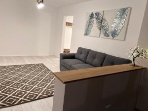 Apartament English Home 2 camere Brasov