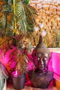 Appartements JADE Hammam & Jacuzzi : photos des chambres