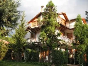 阿姆坲拉公园酒店 - Vladaya