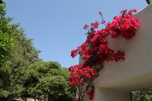 Casa Kalypso Alonissos Greece