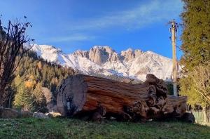 Albergo Ristorante Scanapà
