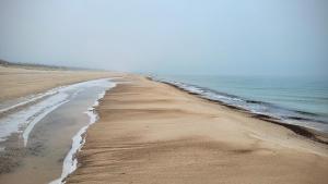 Apartament DANA piękna plaża wydmy las