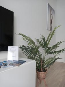 LA TERRAZA DE LA VEGA - Ubicación inmejorable , wifi , terraza y parking gratuito