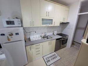 Spacious Apartment in Novi Sad