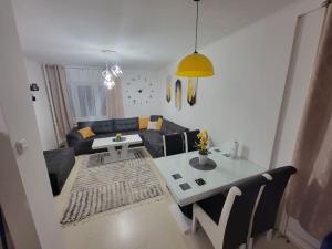 Spacious Apartment in Novi Sad