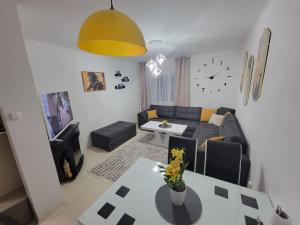 Spacious Apartment in Novi Sad
