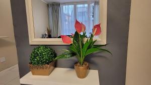 Effortless Self Catering Accommodation