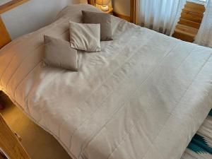 Charmant 4 pièces pour 6 pers. au pied des pistes avec wifi - FR-1-411-714