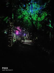 Golden Peak Estate Homestay