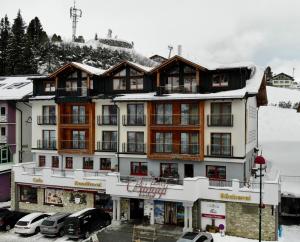 Hotel Binggl