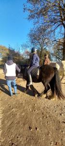 Einfachlosmachen Turmzimmer