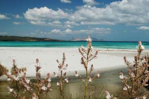 VILLA A 200 METRI DALLA SPIAGGIA img61