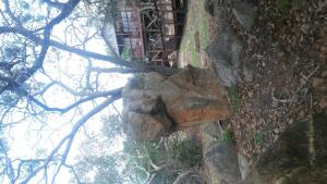 5th Seasons Guesthouse