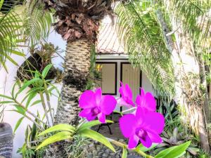 Suítes a 50 metros da Rua das Pedras