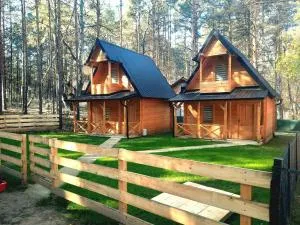 Brvnare Borove iglice - Vinci