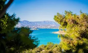 Villa Avras sea view feel like home properties - 萨罗尼扎