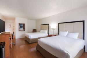 Queen Room room in OYO Hotel Lockhart TX