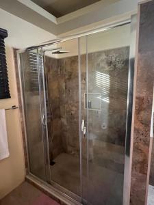 Kingston Oasis One Bedroom