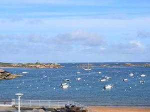Appartement terrasse bord de mer à Trégastel avec parking - FR-1-368-19