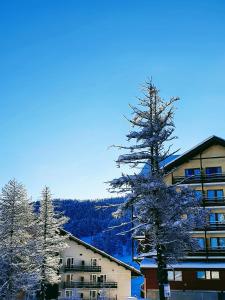 Appartements Appartement T2 Confortable Skis aux pieds Station Risoul 1850 : photos des chambres