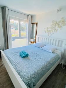 Les Studios de la Côte Roz - Vue Mer - Rivage