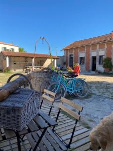 Appartements La possibilite d’une ile : photos des chambres