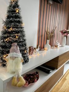 Flora Lux and Spa Zlatibor