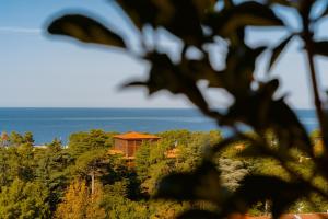 Tapis Rouge Design Boutique Hotel