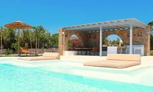The Nine Graces - Kastraki Villas with Private Swimming Pool - 纳克索斯岛卡斯特拉基