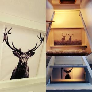 The Deer Lodge Durbuy