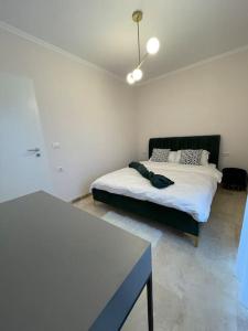 Apartament Timisoara 6