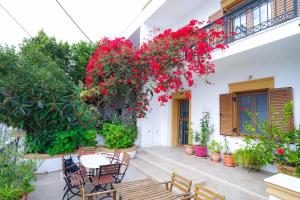 Fira Central Apartments with Veranda