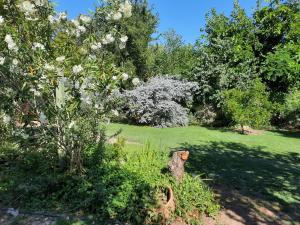 Tu casa en el centro