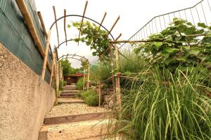 Villa Salvia with pool