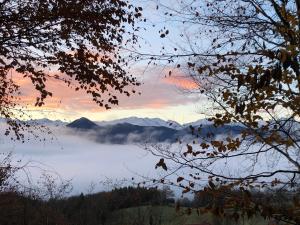 Tentes de luxe Fenetre sur les Pyrenees : photos des chambres