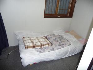 House of the Rising Sun