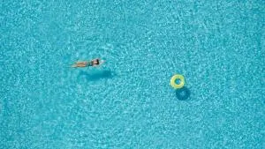 Little Bird Lesvos - Tsoukalokhórion