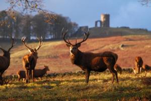 Luxury In Loughborough